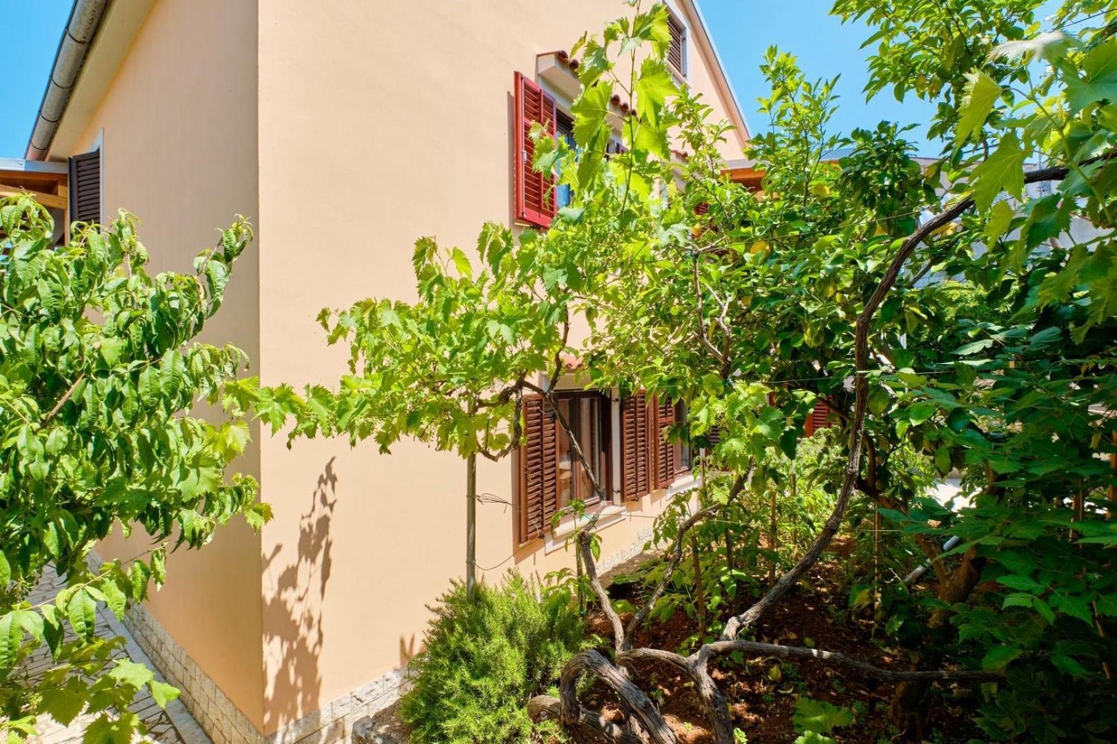 Apartments Ady Mali Lošinj Buitenkant foto